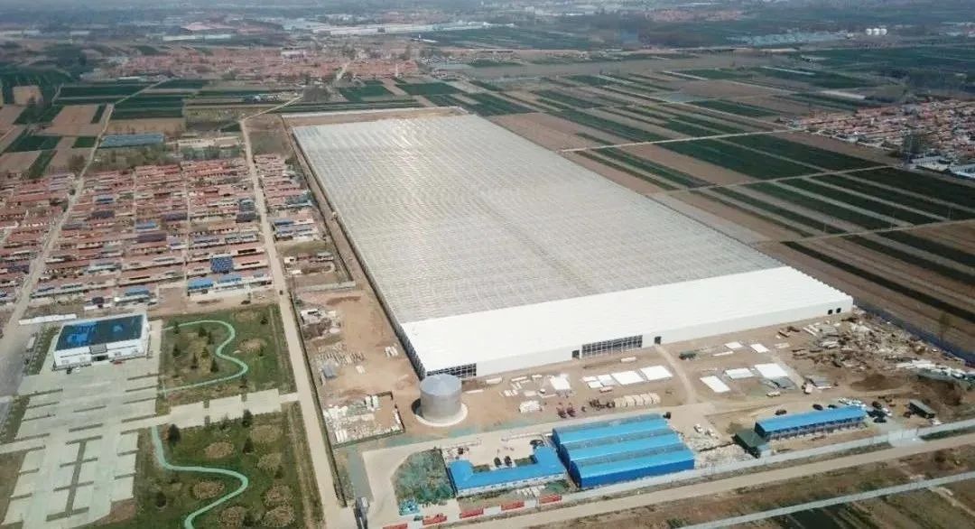 19.jpg 19.jpg