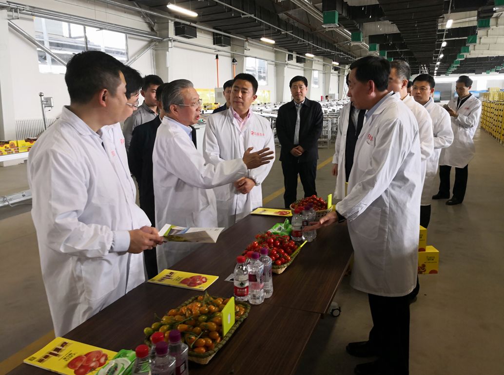 ca88手机客户端(安卓/苹果)CA88会员登录入口