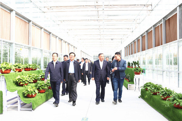 ca88手机客户端(安卓/苹果)CA88会员登录入口
