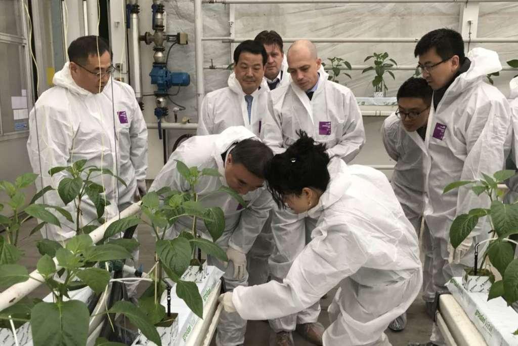 ca88手机客户端(安卓/苹果)CA88会员登录入口