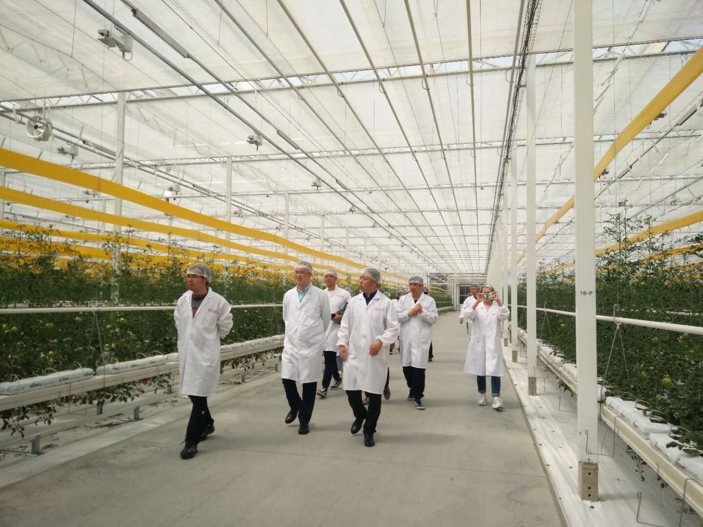 ca88手机客户端(安卓/苹果)CA88会员登录入口