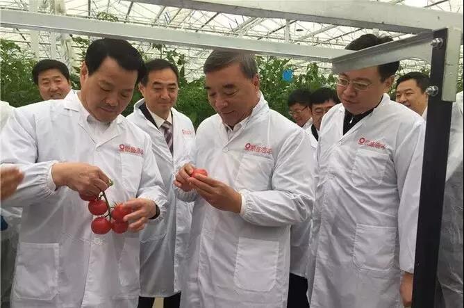 ca88手机客户端(安卓/苹果)CA88会员登录入口