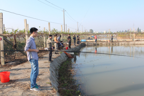 ��ҳ_�౦ƽ̨_�౦��������δ��