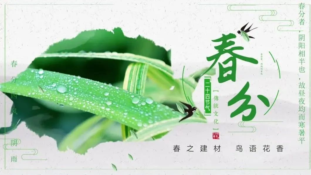 今日春分 | 春之建材，鸟语花香
