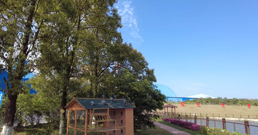 春来好时光，花圃工厂朝气勃勃