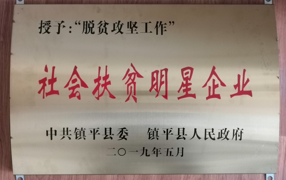 c306fd1b00406196