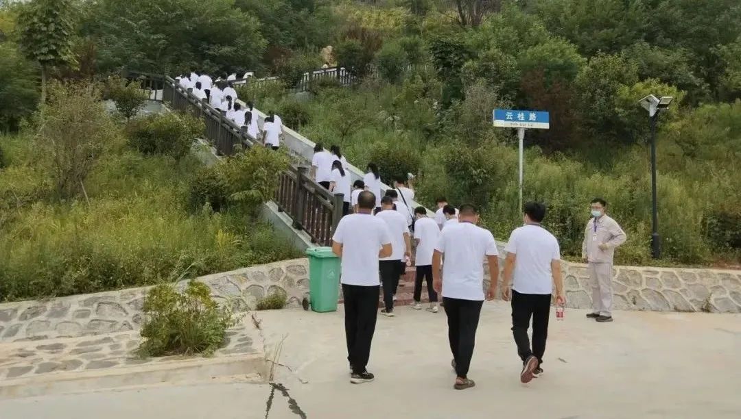 ca88手机客户端(安卓/苹果)CA88会员登录入口